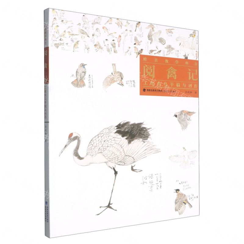 【預購】閱禽記(工筆禽鳥手稿與創作)/唯美教學典範丨天龍圖書簡體字專賣店丨9787539347387 (tl2609)
