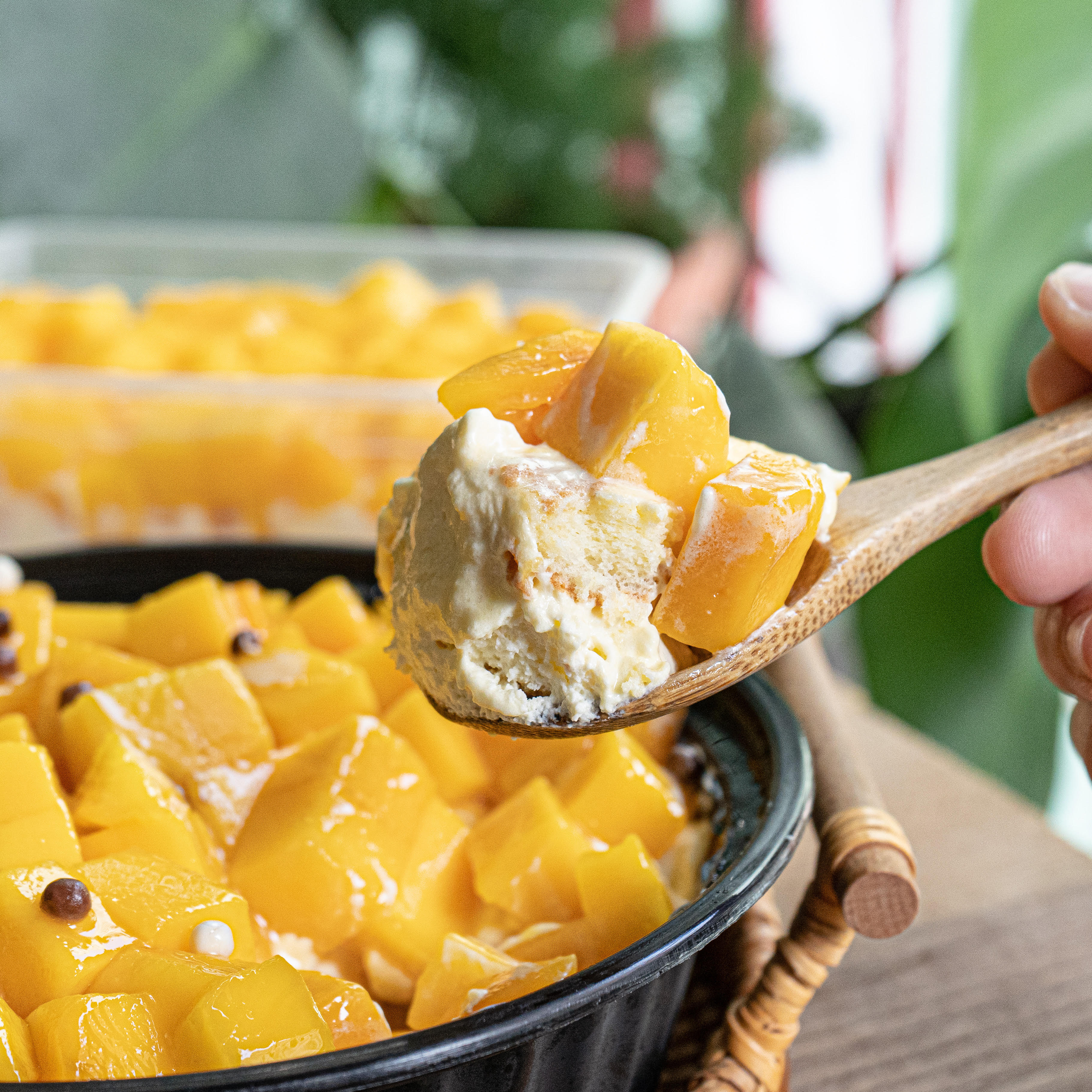 麵包花園★芒果丼飯蛋糕