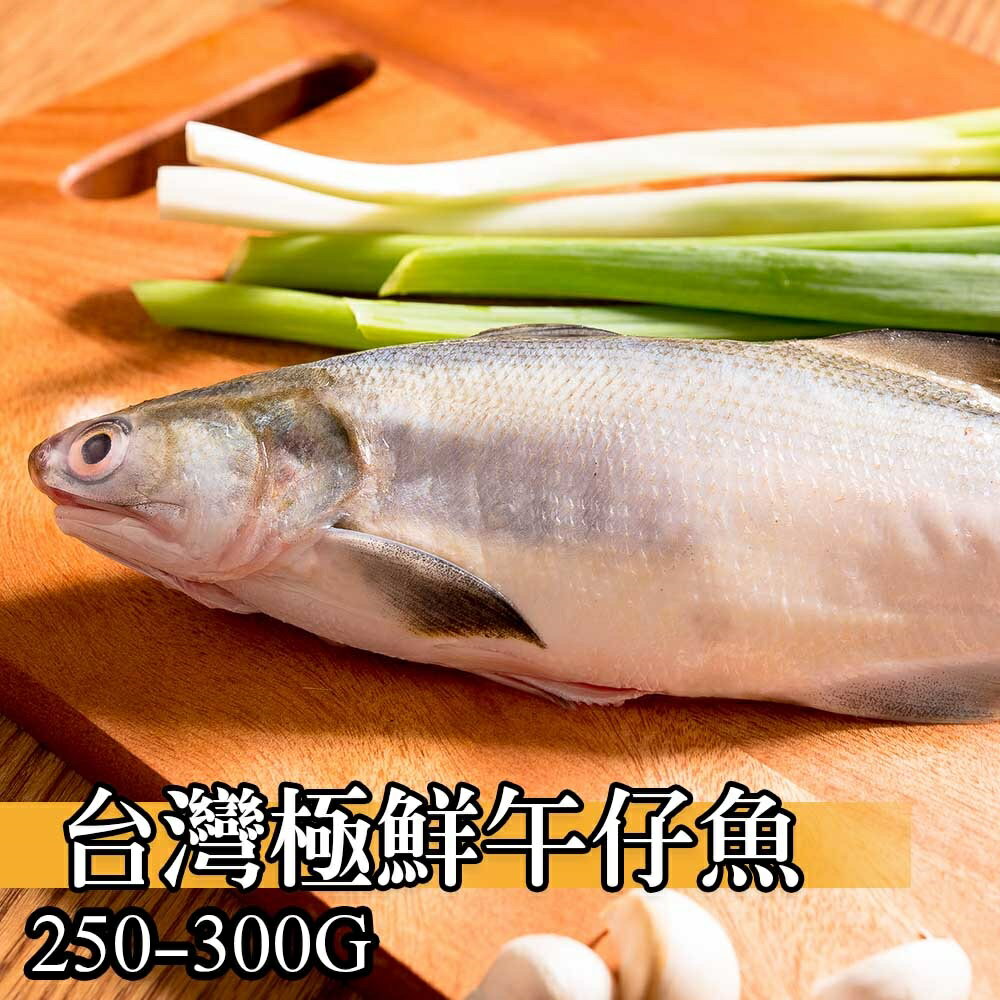 【鮮綠生活】台灣極鮮午仔魚250g-300g