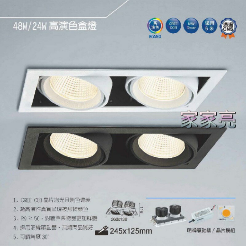 (A Light) 舞光 LED COB 48W 2燈 高演色盒燈 雙燈 盒燈 黑框 白框 CREE 適用 6米 110V 220V