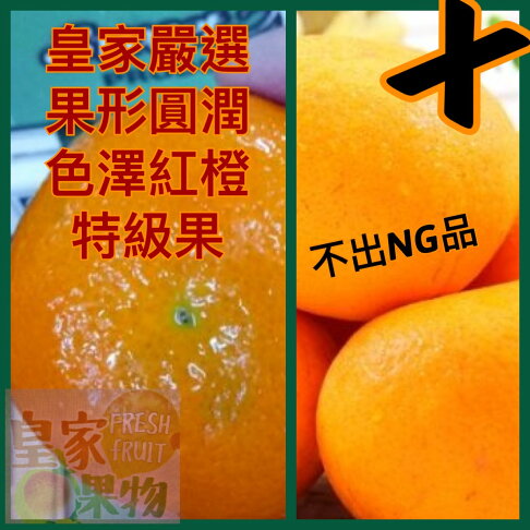 澳洲黃金茂谷柑空運特級試嘗箱大果12入/家庭箱20入/12入精緻禮盒【皇家果物】低溫免運 1