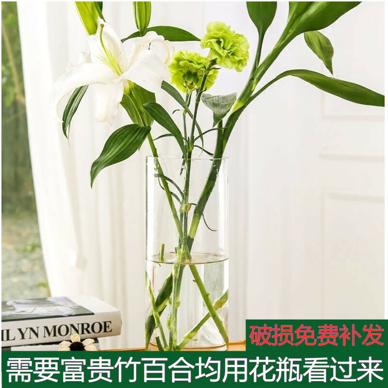 特大家用玻璃花瓶透明水養植物富貴竹百合歐式小清新客廳鮮花包郵