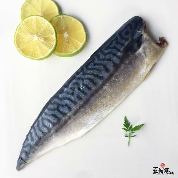 【8片優惠免運組】挪威薄鹽鯖魚 (110-130克/片) 海鮮 生鮮 挪威 薄鹽 鯖魚 必烤 熱銷 快速到貨 限時 限量 搶購 免運