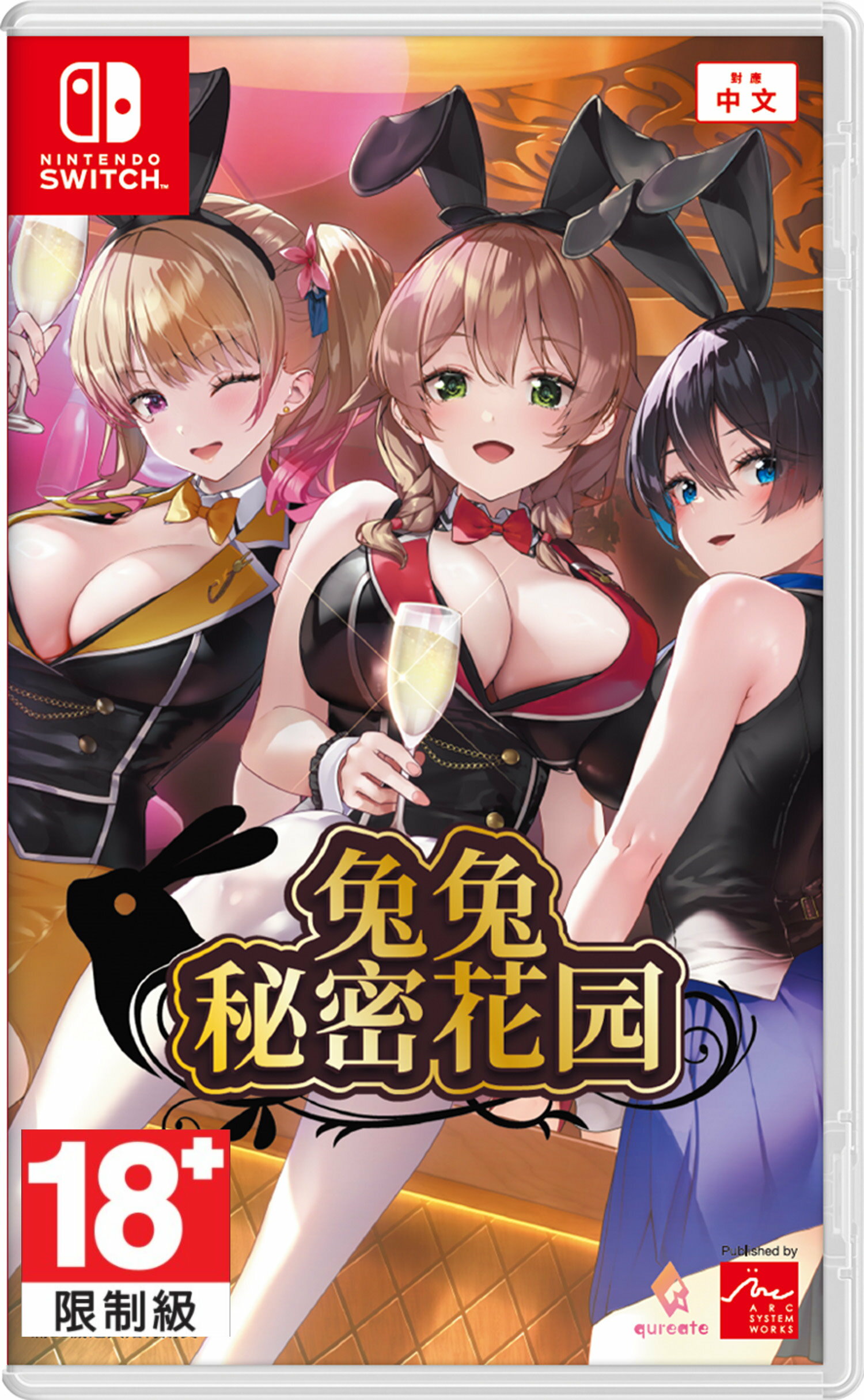 任天堂 Switch NS 兔兔秘密花園 中文版