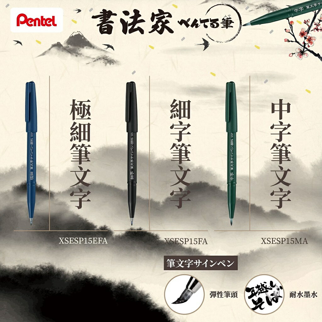 珍品 肉筆 圓光 書法 掛軸 掛軸 珍品 書法 肉筆 圓光