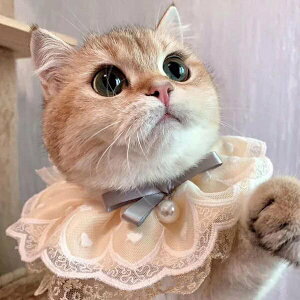 『台灣x現貨秒出』夢幻小公主蕾絲珍珠吊飾貓狗飾品領巾寵物項圈頸圈
