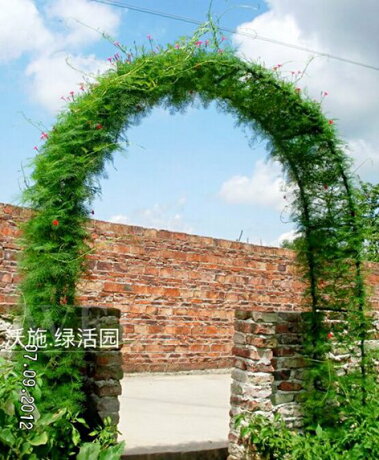 攀爬蔬菜拱門爬藤花架月季絲瓜黃瓜架葡萄藤蔓搭架家庭菜園用lx 秋冬新品特惠 Super 生活館 Rakuten樂天市場 攀爬蔬菜拱門爬藤花架月季絲瓜黃瓜架葡萄藤蔓搭架家庭菜園用lx 秋冬新品特惠 Super 生活館 Rakuten樂天市場