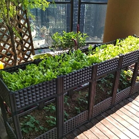 種植箱陽臺蔬菜種菜盆多層花盆長方形戶外種菜箱家庭菜園屋頂樓頂 家 全館85折 Super 生活館直營店 樂天市場rakuten 種植箱陽臺蔬菜種菜盆多層花盆長方形戶外種菜箱家庭菜園屋頂樓頂 家 全館85折 Super 生活館直營店 樂天市場rakuten