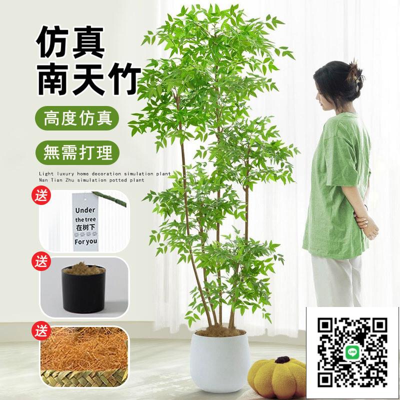 【南天竹模擬綠植 宅配免運】造景盆栽 模擬樹 辦公室盆栽 人造樹盆栽 北歐風輕奢客廳擺件 盆栽擺件 大型假綠植