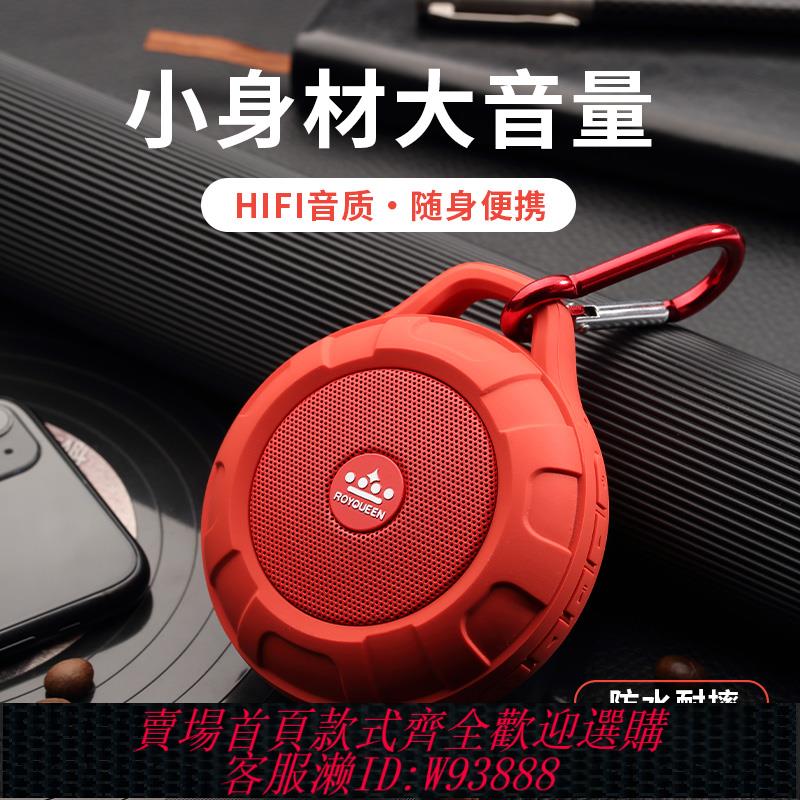 {臺灣公司貨 可打統編}朗琴T350藍芽音箱迷你小型隨身播放器可插卡戶外便攜式無線小音響