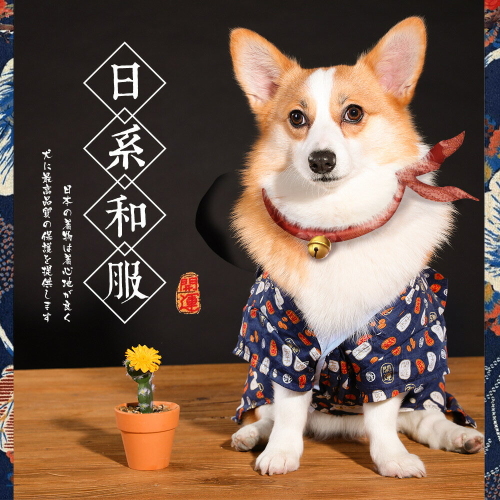 【優選百貨】柯基衣服小狗狗泰迪雪納瑞柴犬中型犬小型犬薄款寵物兩腳春裝