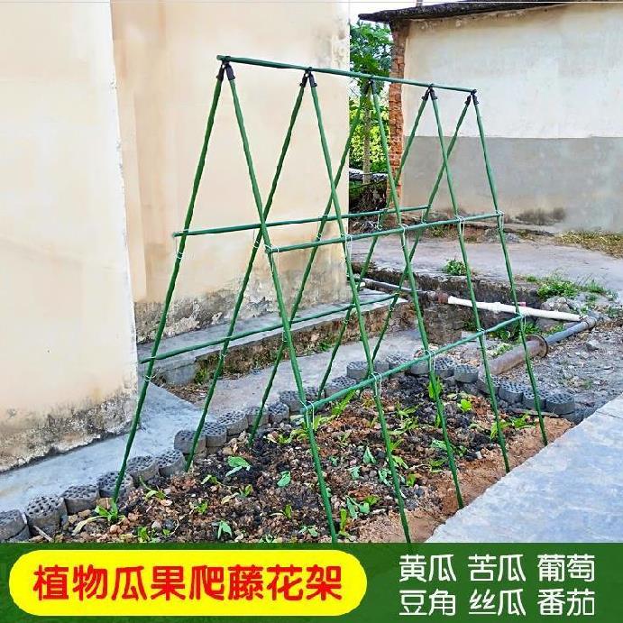 種植架種菜架種豆角黃瓜絲瓜架子蔬菜架花支架固定攀爬搭棚架戶外