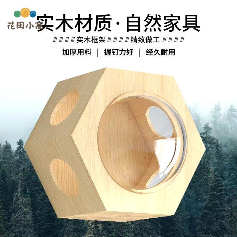 貓爬架 墻上壁掛式小戶型 一體 實木 貓窩貓跳臺貓抓柱壁掛六角太空艙[PP0503021]