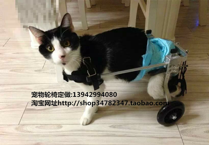 【超多款式咨詢客服】狗用輪椅代步車貓癱瘓動物輪椅殘疾寵物輪椅車小型犬后肢康復輪椅 3