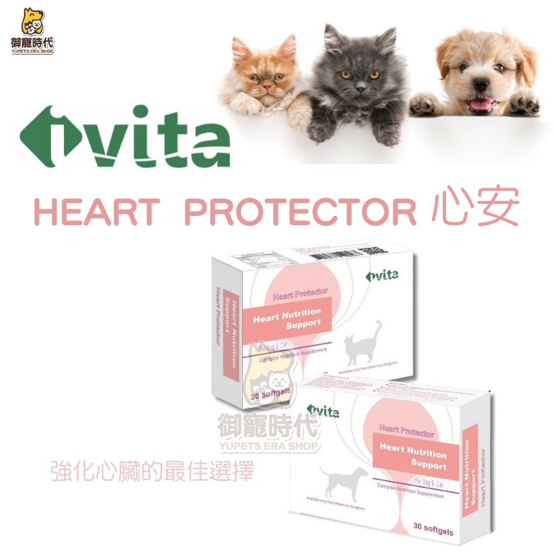 ivita Protector 心安 60顆 Q10 牛磺酸 心臟保健 心血管護理 心臟保養