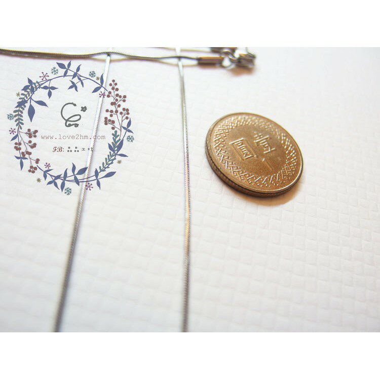 蛇鍊/白鋼鍊子/316L醫療級白鋼/ [晶晶工坊-love2hm] 1