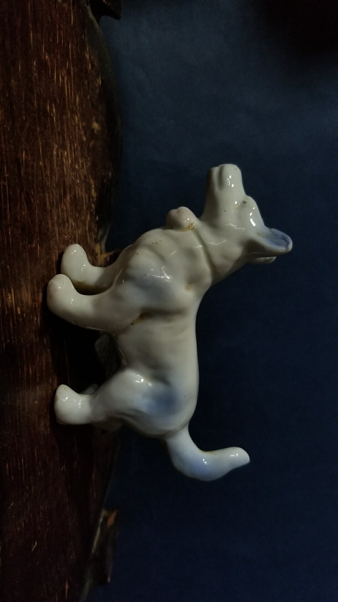 老陶瓷 疑惑的狗狗