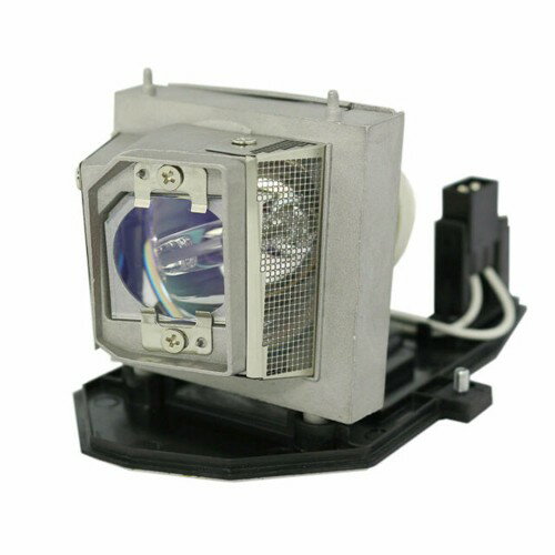 OPTOMA-OEM投影機燈泡BL-FU190A/SP.8PJ01GC01/適用機型DS229、DS339、DW339