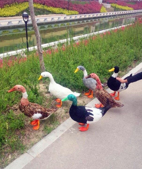 定做各種模擬動物模型道具 模擬鴨子 彩色鴨子 園林裝飾教學素材