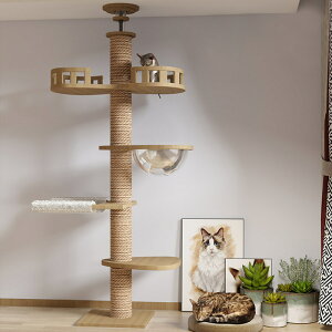 貓抓板 通柱爬架玩具抓板實木加粗穩固頂立地柱