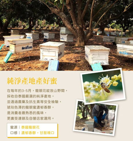 蜜蜂工坊 龍眼蜜 3公斤 X 4入 2