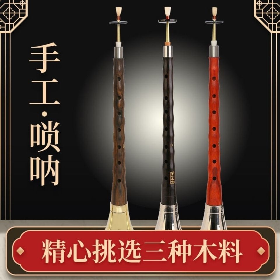 樂器嗩吶 烏木黑檀木嗩吶樂器 全套d調D調初學者入門大小號喇叭成人嗩吶 全館免運