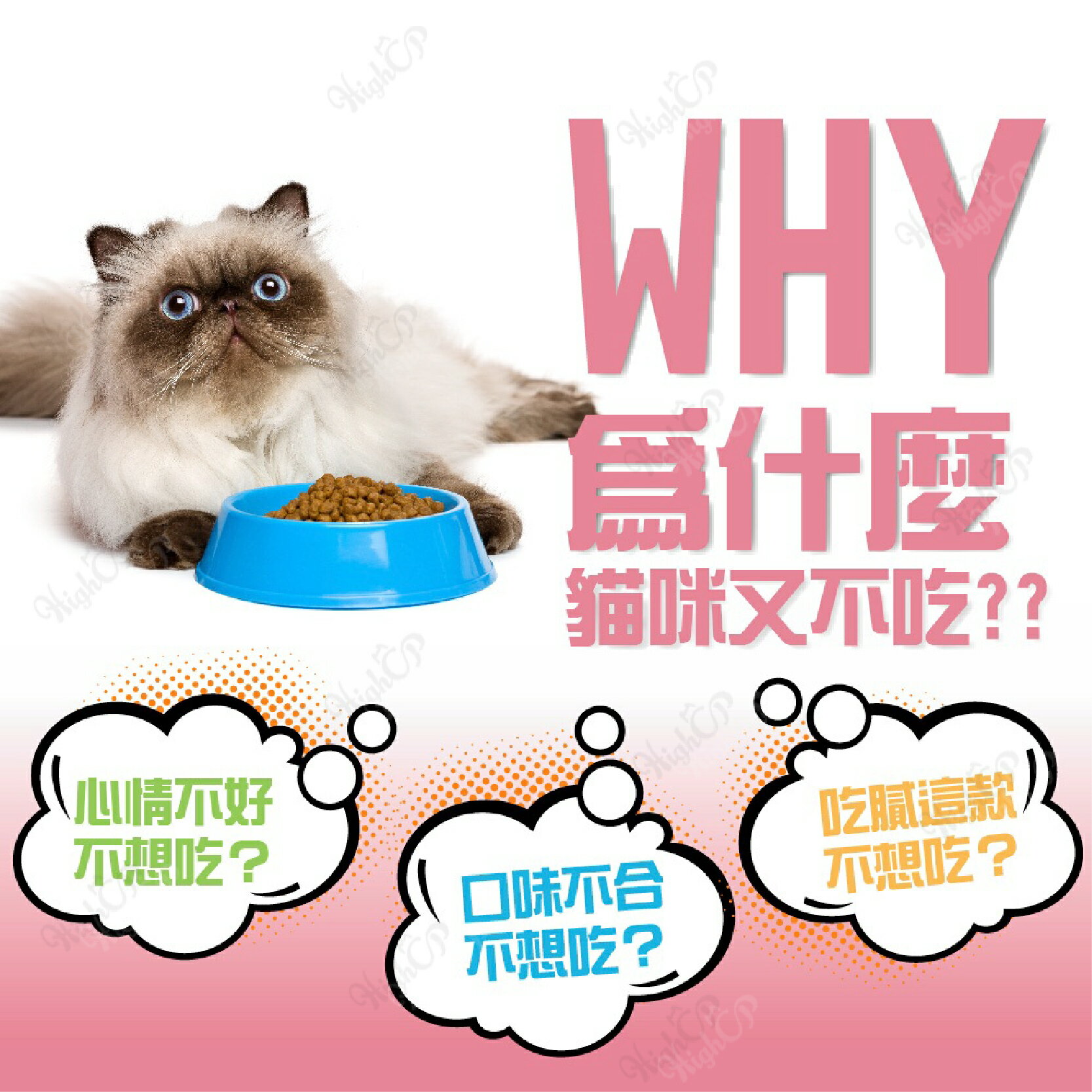 健康紀元 HEALTHYERA 貓飼料 挑嘴貓飼料 福壽 葛莉思 貓乾糧 貓糧食 貓食品 貓咪飼料【240804】 3