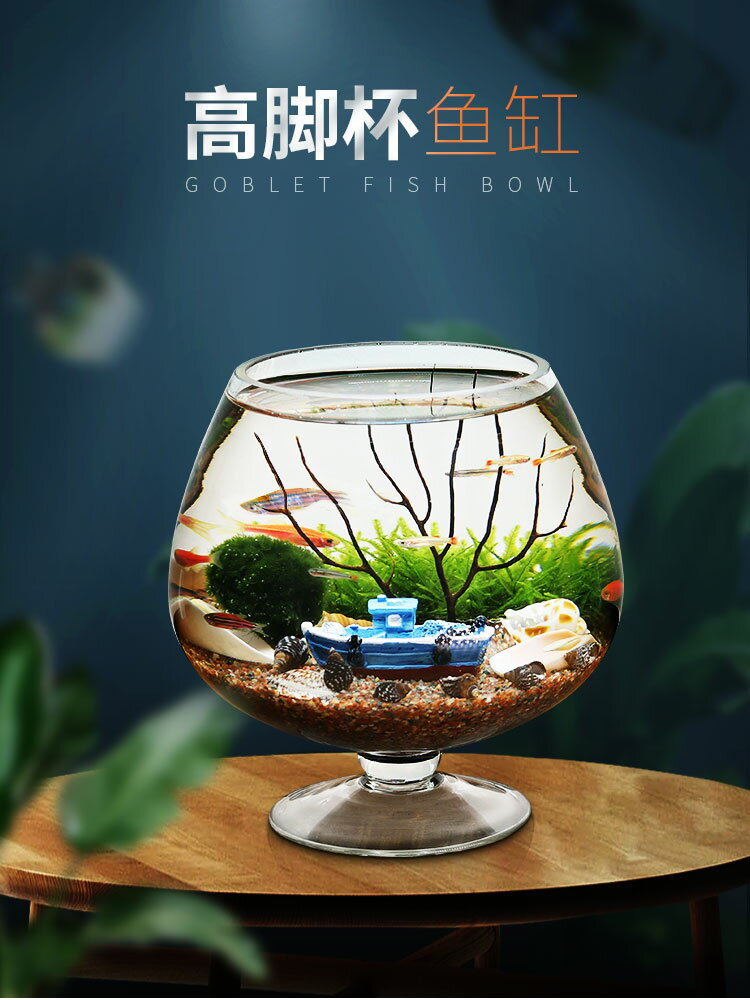 高腳杯生態魚缸造景套餐小型桌面生態瓶魚微景觀免換水族寵物（不送魚）