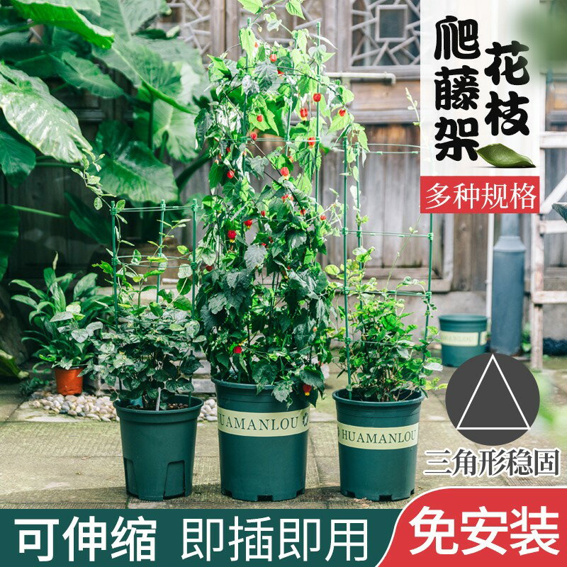 花架爬藤架花盆支架鐵線蓮爬藤架室內花盆支架月季支撐桿葡萄架子