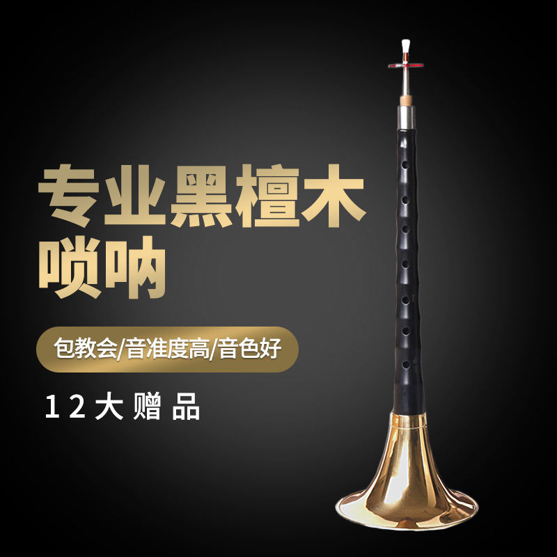 工廠直銷 免運/特惠 演奏專業黑檀木嗩吶樂器紅木全套d調D調初學者入門小號哨片配件特惠/開立發票 全館八折 z1026