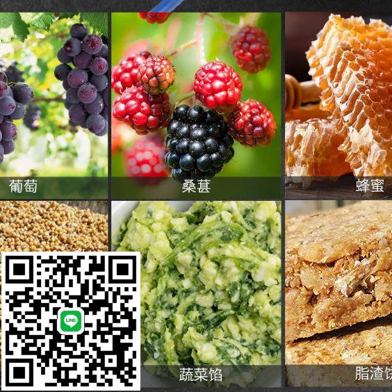 不銹鋼壓榨機商用蜂蜜酒糟壓汁機菜餡擠水器家用壓豬油渣機榨油機