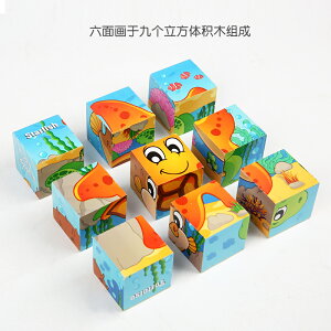 兒童3D立體拼圖木質積木六面畫9粒制早教益智幼兒園456歲寶寶玩具