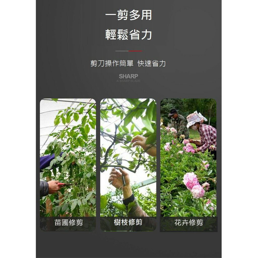 台灣現貨 海綿握把鍍鈦園藝剪 鋁鍛造握把專業園藝剪刀 外銷果樹剪 花剪 SK5高碳鋼 bypass pruner 6