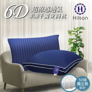 【Hilton希爾頓】 6D 酷涼透氣銀離子抑菌獨立筒枕