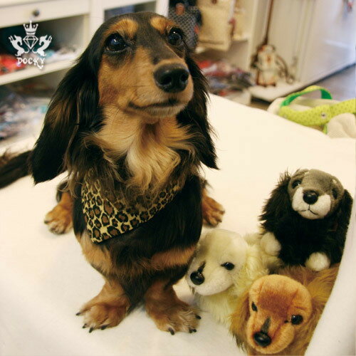 DOCKY設計 手工「狗領巾」俏麗豹紋小惡魔