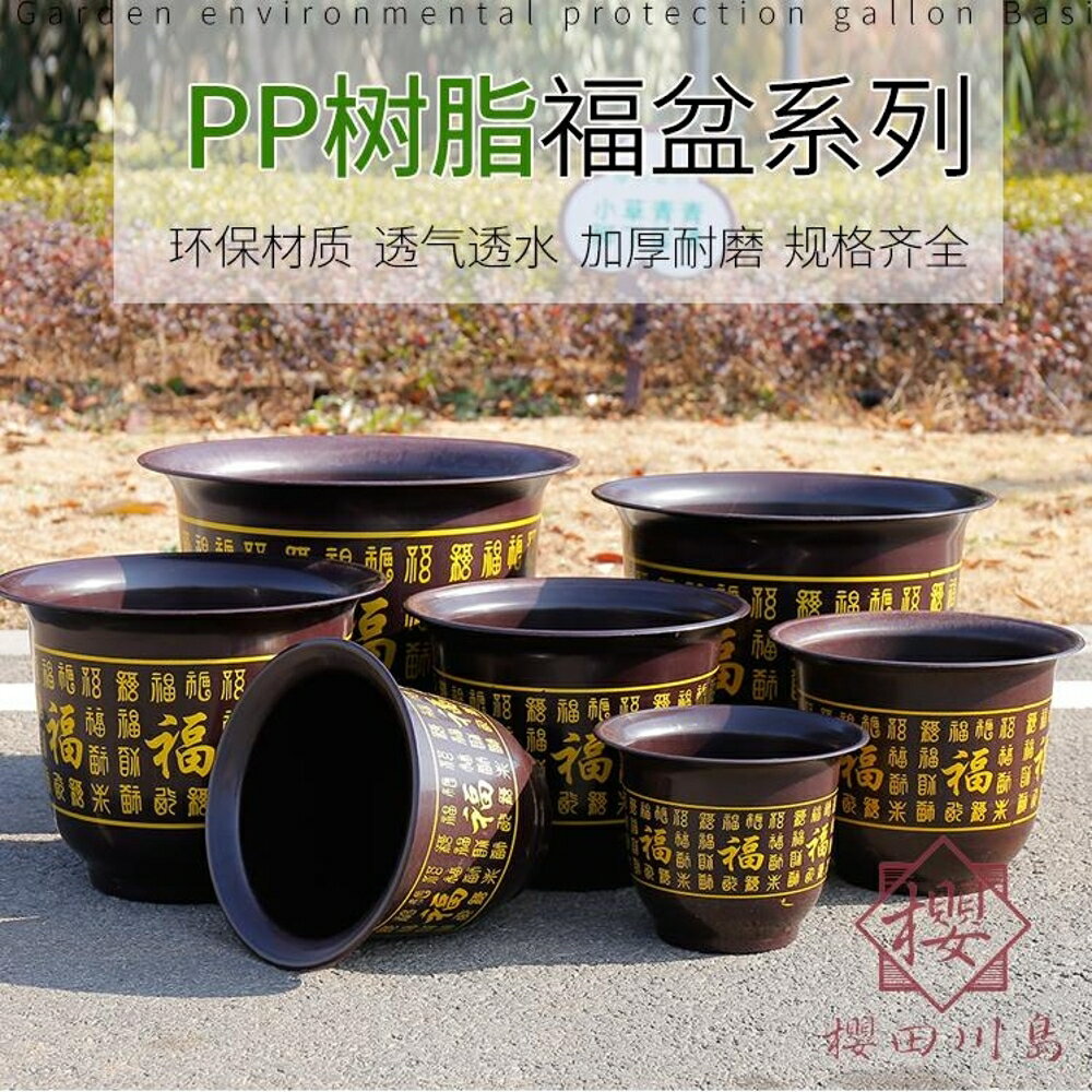 3個裝 環保優質塑膠花盆百福果樹加厚庭院盆景圓形【櫻田川島】
