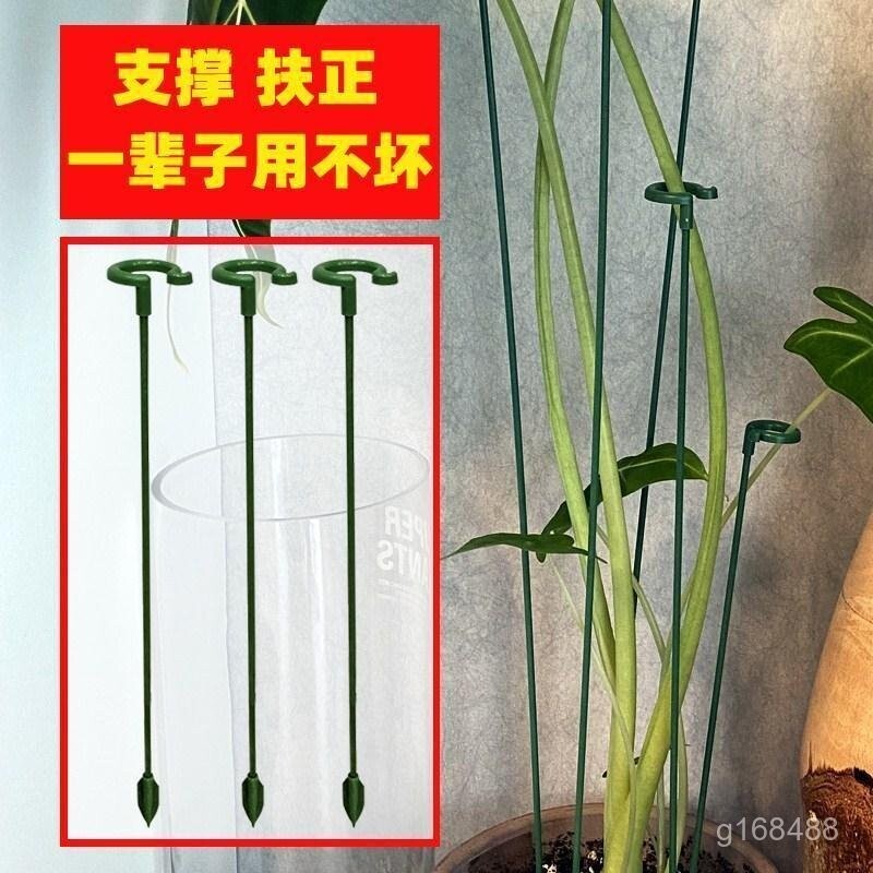 植物支撐架 盆栽支架 植物花架 植物支架 植物支撐桿 園藝支架 蘭花支架 花盆支撐架 葉架 花卉 G