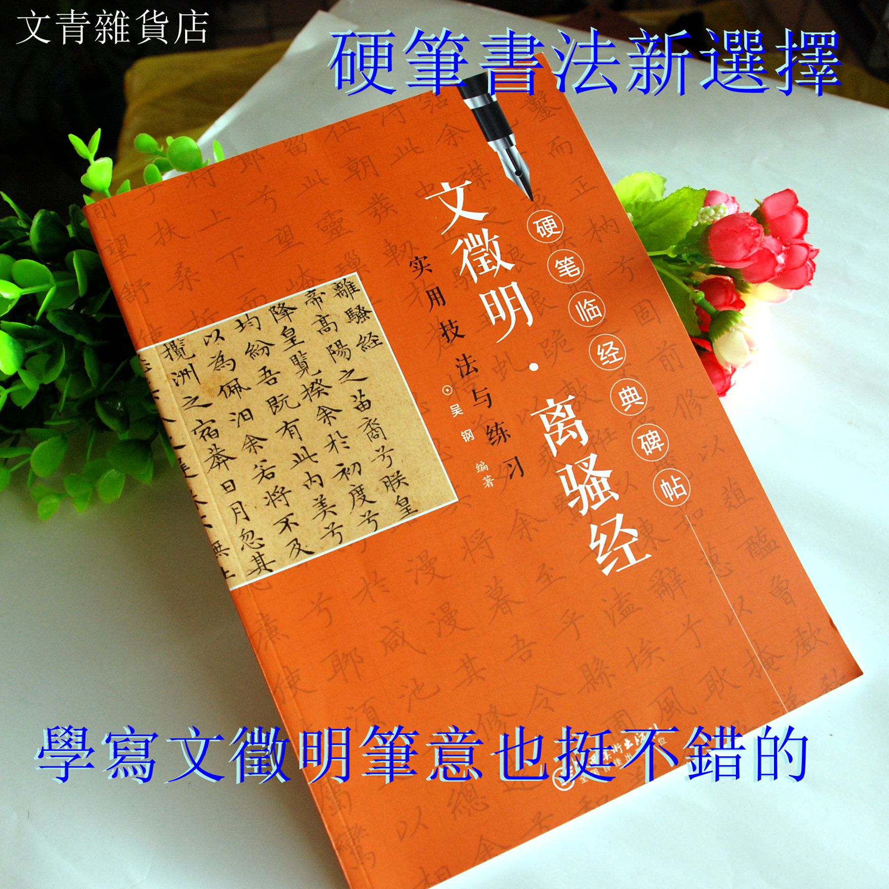 文青雜貨店硬筆書法新帖《文徵明 離騷經實用技法與練習》行楷鋼筆字全攻略！好好練讓您出手便是讚嘆~~勤練價199元 0