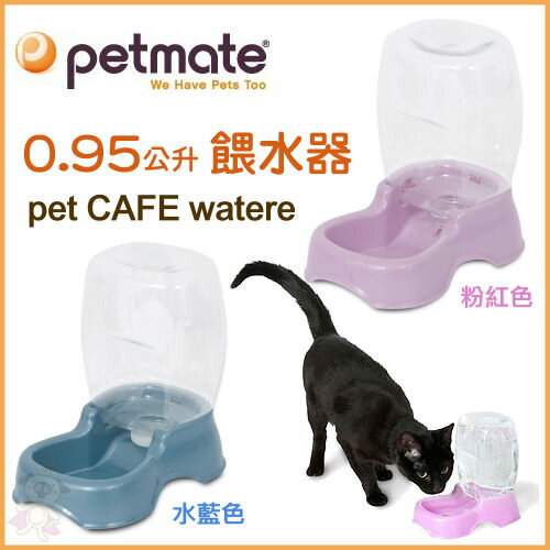 《美國Petmate》飲水器 0.95公升pet CAFE waterer