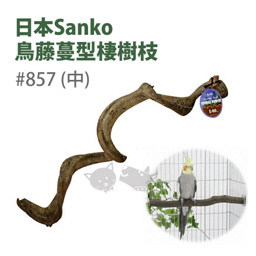 《日本Sanko》鳥藤蔓型棲樹枝#857(中)