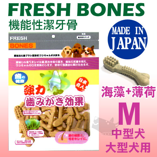 FRESH bones《 日本機能潔牙骨》牙刷骨造型M號[海藻+薄荷]