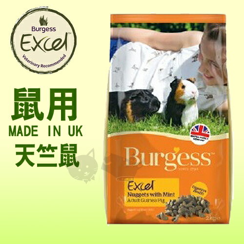 《英國伯爵Burgess》高機能鼠飼料 - 天竺鼠 2kg好窩生活節