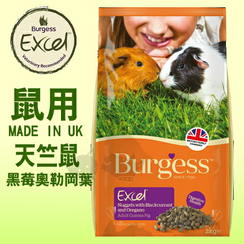 《英國伯爵Burgess》高機能鼠飼料 - 天竺鼠 (黑莓&奧勒岡葉) 2kg好窩生活節