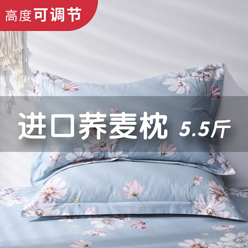枕芯帶枕套純蕎麥枕夏季涼枕皮大人單人全蕎硬男護頸一對夏枕頭芯