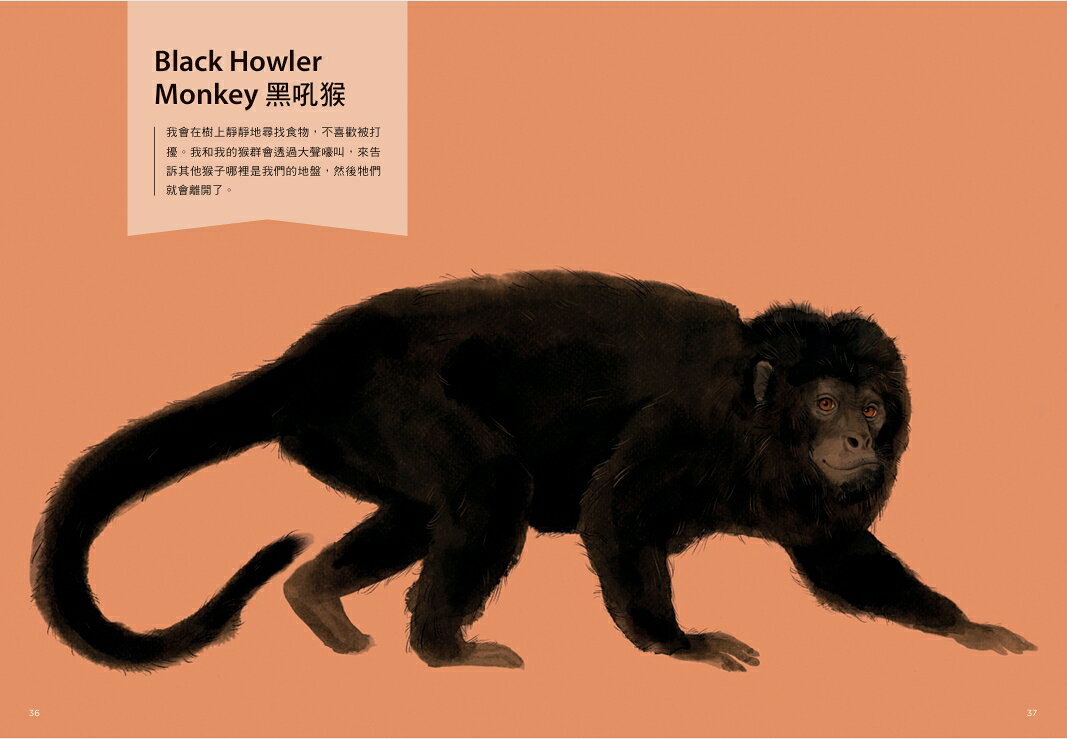 誰是動物大聲公？〔動物繪本圖鑑4〕：首批限量加贈「有聲動物小 4