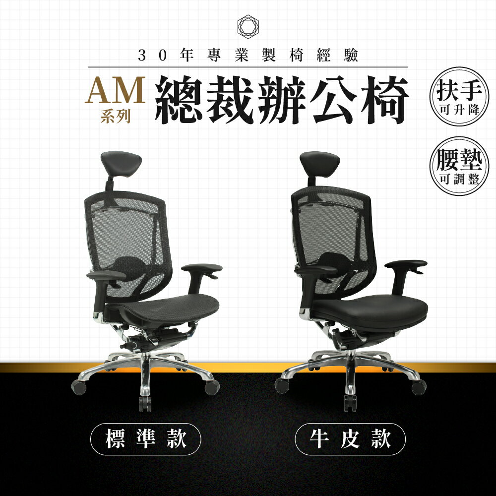 【專業辦公椅】總裁辦公椅-AM系列｜多款 多段調整 高彈性網布 會議椅 工作椅 電腦椅 台灣品牌