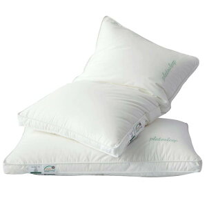 60支全棉酒店枕芯五星級軟枕頭單人助睡眠防螨蟲一對家用不塌陷枕