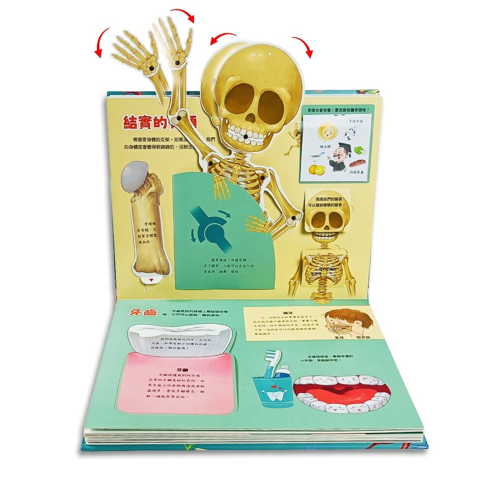 媽媽買 人體立體書 華碩文化 身體原來是這樣＋身體不可思議的祕密 3D互動機關 人體百科 親子共讀 3-8歲 8