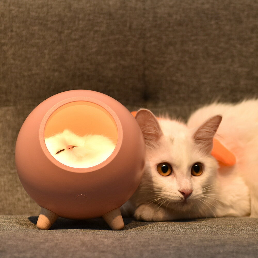 小貓屋氛圍檯燈創意禮物送女生卡通貓窩充電LED小夜燈睡眠餵奶燈
