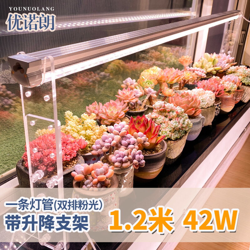 植物照燈 多肉補光燈家用上色防徒全光譜led花架仿太陽室內綠植物生長燈泡【MJ5565】